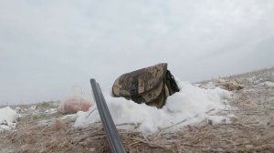 Охота на гуся в Казахстане . Уже зима , а здесь тысячи гусей не торопятся улетать в теплые края