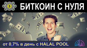 Halal Pool обзор. Или как я хочу заработать от 0,7% в день