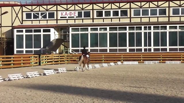 Предварительный приз А . Дети . Общий зачет . Лариса Милосердова Кобыла Былина ( совет.тяж.помесь) смотреть онлайн