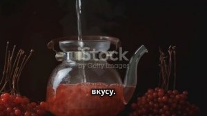 Ягоды бузины. Целебный отвар и настой из ягод бузины.
