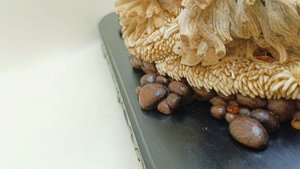 композиция "медведи на опушке леса" от Седова Сергея