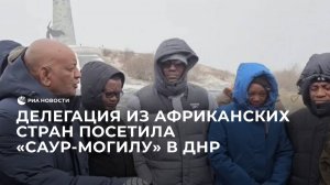 Делегация из африканских стран посетила "Саур-Могилу" в ДНР