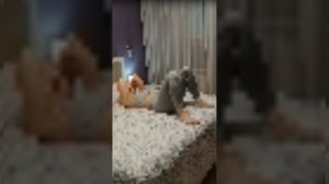 йога в постели