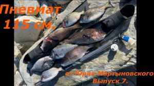 Пневмат 115 см. от Юрия Мартыновского. Выпуск 7.