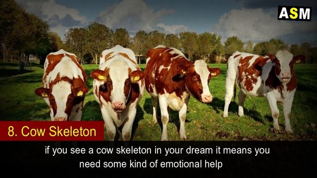 What does Cow dream meaning | Cow Dream interpretation | Dreaming of Cow смотреть онлайн