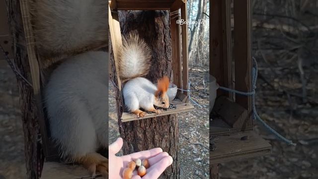 А так хотелось прыгнуть️