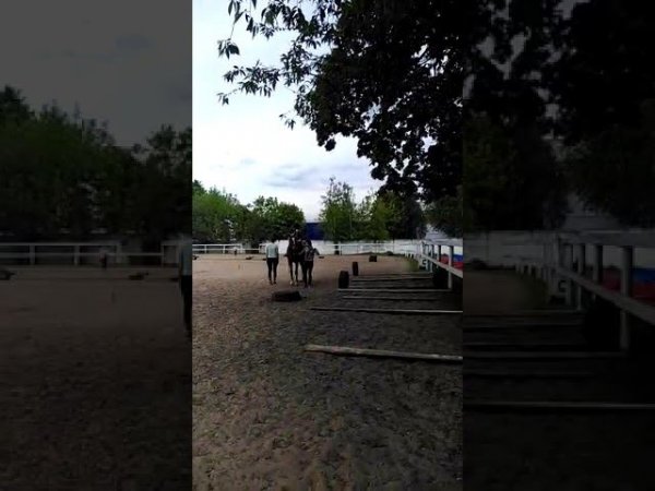 Ана на Чемпионе