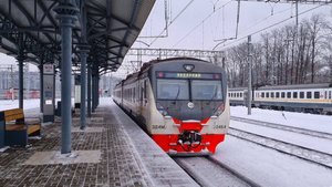 Электропоезда ЭД4М и ЭП20 с поездом "Иван Паристый" на ст. Солнечная #эд4м #поезд #мцд4 #эп20