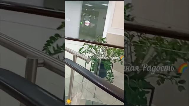 Воспоминания о детстве эскалатор.Люблю кататься !