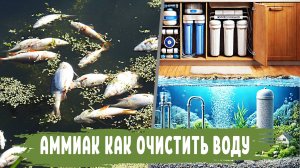 Как удалить АММИАК из воды, что делать если в воде есть АММИАК и как удалить его с помощью фильтров