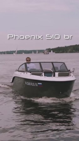Phoenix 510 br + Mercury F100