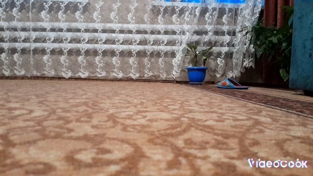 сборник обзоров