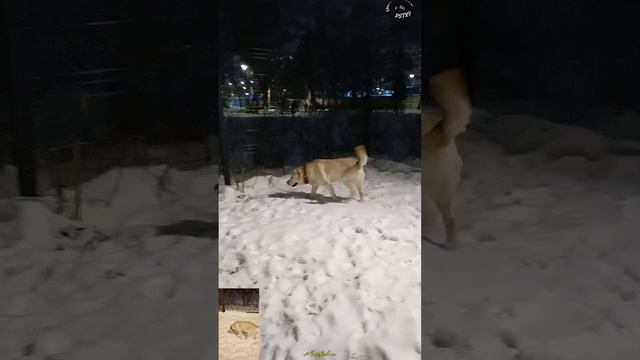 Активизация активности