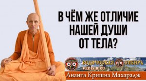 В чём же отличие нашей Души от Тела?