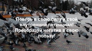 Поверь в свою силу и свой внутренний потенциал! Преобразуй негатив в свою пользу!