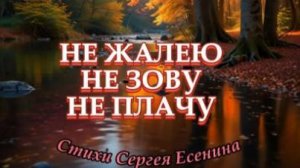 Нейроклип " Не жалею, не зову, не плачу..." стихи С. Есенин(1922 г.)