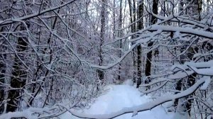 Прогулка зимой в лесопарке Крмзяки. Город Вязники