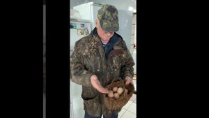 Продаются домашние яйца. Рязанская обл., Лашма.
