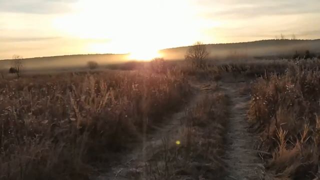 Сестренка