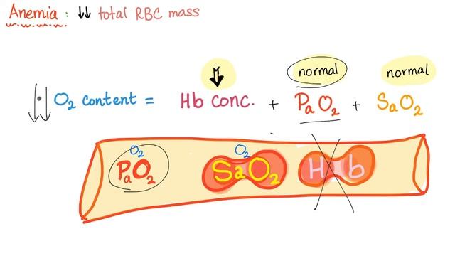 Oxygen Content - Oxygen Saturation (SaO2 %) - Oxygen Partial Pressure - Respiratory Physiology смотреть онлайн