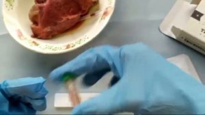 Диагностический экспресс тест на трихинеллёз у кабана LTFLOW Trichinella