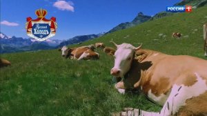 Реклама Русский Холод Алтайская буренка