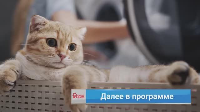 УМНЫЙ ДОМ. Телевизоры. Домашняя прачечная. Пылесосы по назначению. Литионные аккумуляторы. смотреть онлайн