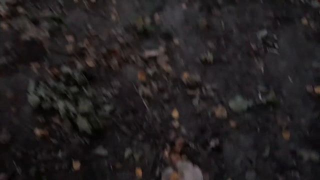 Эксклюзив - " Уроки по виживанию в глухих лесах ! " смотреть онлайн