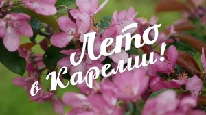 Лето в Карелии!