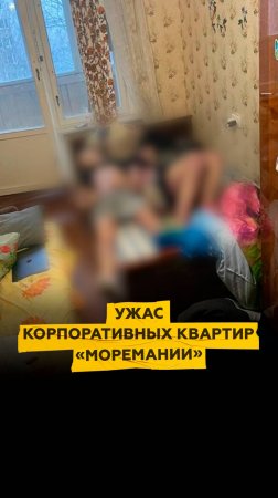 Какой ужас творится в корпоративных квартирах «Моремании»?