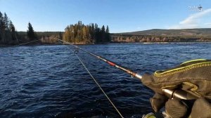 Как ловить на спининг зимой? Чем смазать шнур или леску???