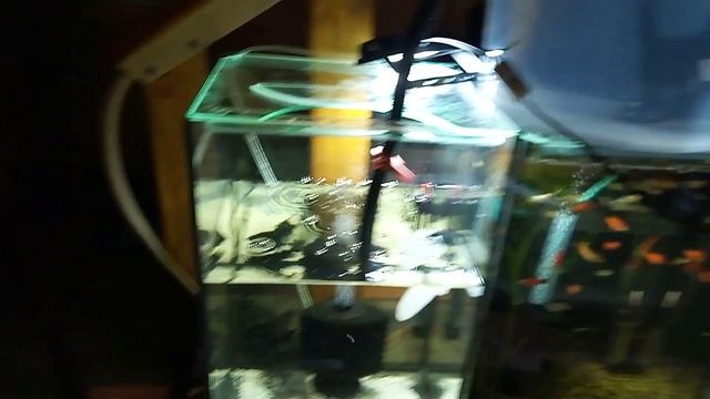 Подсоединил кислород к овалу 220л. смотреть онлайн