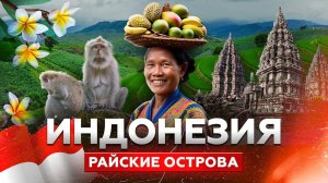 Индонезия: Райский уголок с русской душой, копия «Лужников» и отель в самолёте | «Новый мир»