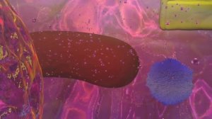 Apoptosis Animation