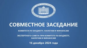 16.12.2024 Заседание Комитета ГС РТ по бюджету, налогам и финансам