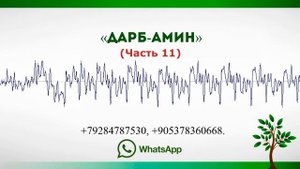 Дарб-Амин «Лекарства от бесплодия, и др» (часть 11). 29.06.2018