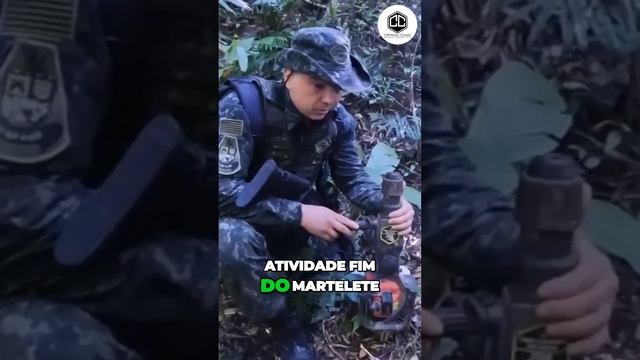 Explorando Ouro Ilegal Com o Martelete  #crime #crimeambiental #tráficodedrogas #garimpodeouro смотреть онлайн