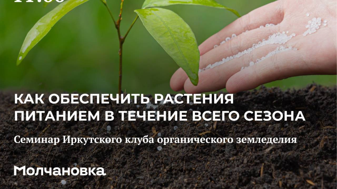 3 сезон 4 семинар. Как обеспечить растения питанием в течении сезона в органическом земледелии