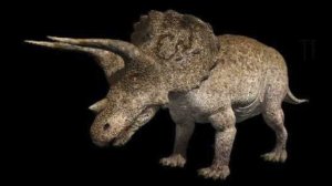 WDRA Triceratops Sound Effects