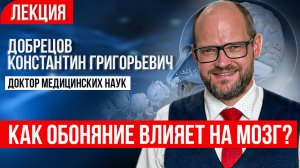 Лекция доктора медицинских наук. Нарушения обоняния — последствия для мозга и здоровья человека