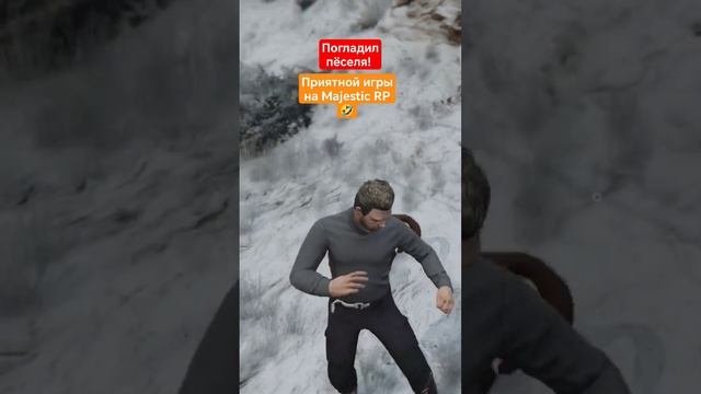 Добрый пёс! #рекомендации #gta5 #majestic #gta5rp смотреть онлайн