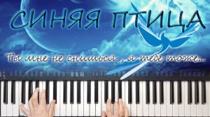 ТЫ МНЕ НЕ СНИШЬСЯ СИНЯЯ ПТИЦА КАВЕР СИНТЕЗАТОР YAMAHA PSR SX900 AUDIO DISCO STYLE