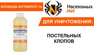 Блокада Антиклоп - уничтожение постельных клопов в квартире или доме. Ацетамиприд.