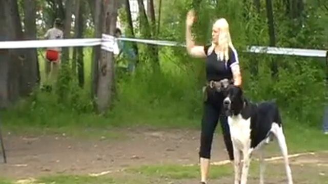 рр мы смотреть онлайн