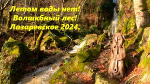 А летом воды нет! Зимой нужно приезжать!  Лазаревское, у Мамеда!  Декабрь 2024.