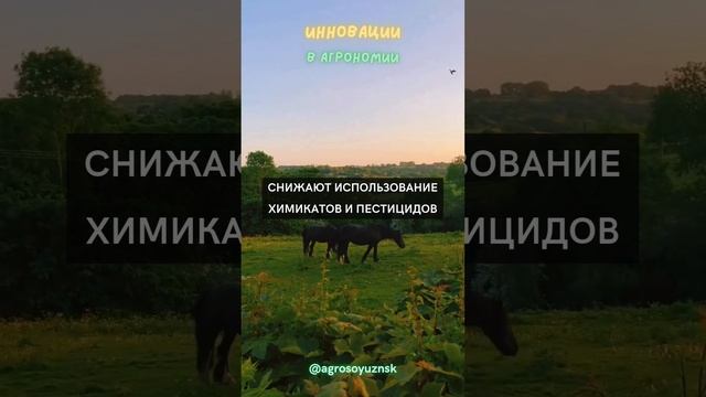 Устойчивые методы культивирования ...