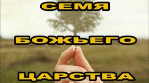 66. "Семя Царства Божьего", Елифанкин Сергей, (15.12.2024), Церковь "Скала"