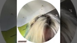 СЛИВ НЕКОГЛАЯ ШОК!! Некоглай с девушкой в постели!!