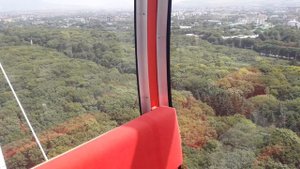 г. Ессентуки, Ставропольский край, Россия. Колесо обозрения. Парк Победы. Август 2024 г.