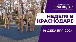 НЕДЕЛЯ В КРАСНОДАРЕ 14-12-2024